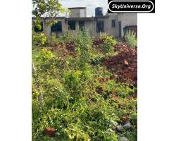 QUICK SALE MONEY URGENTLY NEEDED BUSUBUZI. - 2