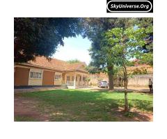 Hot deal House on sale in bukoto - 4