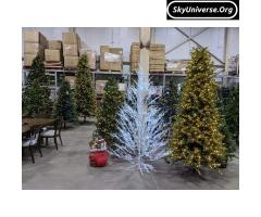 Xmas trees at a discount