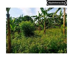 Bank pressure, 5acre fertile land for sale - 4