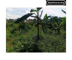 Bank pressure, 5acre fertile land for sale - 5