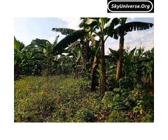 Bank pressure, 5acre fertile land for sale - 7