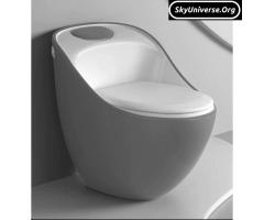 Ceramic  Toilet(Italian  brand)