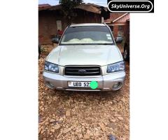 Subaru Forester Ubd