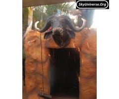 Wall hanging buffalo - 2