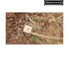 Commercial land for sale in mityana ssekanyonyi
