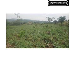 Commercial land for sale in mityana ssekanyonyi - 4