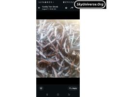 Vanilla grade B (extract) - 2