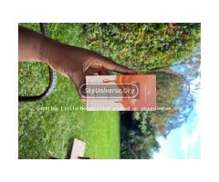 Caramello Perfume by Al-Rehab - 50mls - 2