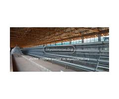 Chicken cages - 3