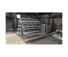 Chicken cages - 4