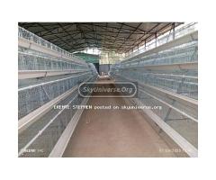Chicken cages