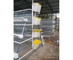 Chicken cages - 2