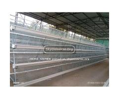 Chicken cages - 4