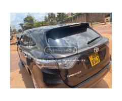 Harrier for  sale - 2