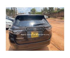 Harrier for  sale - 3