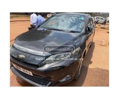 Harrier for  sale - 4