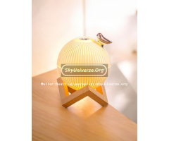 330ml USB Cool Mist Air Humidifier with Warm LED Light & Aroma Diffuser - 5