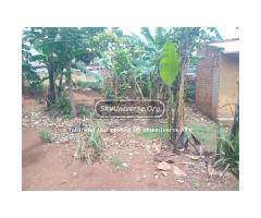 Plot for sale masanafu quick money