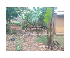 Plot for sale masanafu quick money - 2