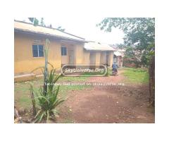 Plot for sale masanafu quick money - 3
