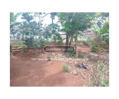 Plot for sale masanafu quick money - 5