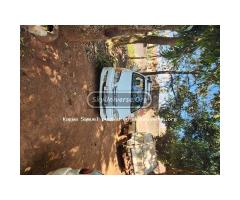 Toyota IPsum 2000 White