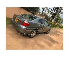 All cars are available - 2