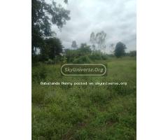 120 acres of land on sale at Nakaseke - 3