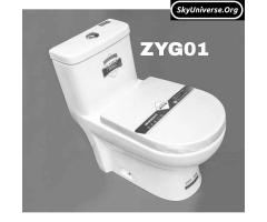 Modern button toilet  full set