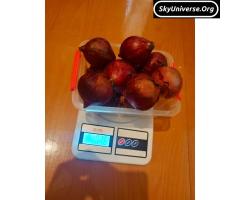SF-400extra DIGITAL SCALE (10KG) - 2