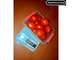SF-400extra DIGITAL SCALE (10KG) - 3