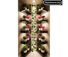 Shelves