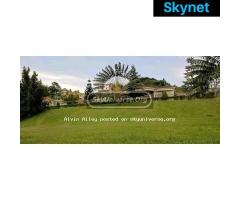 Mansion for sale - 5