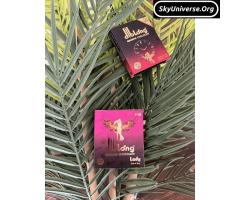 DIBLONG LADY CHOCOLATE - 8