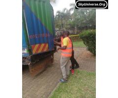 Office and home movers