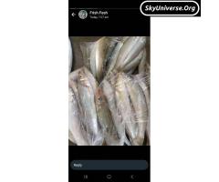 seafood - 8