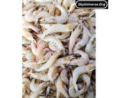 seafood - 2