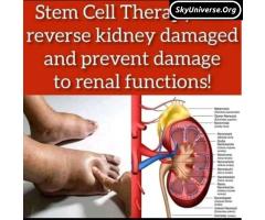 Rejuvenate Your Health With Stemcells in Uganda - 5