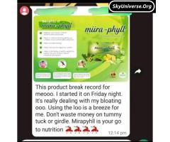 Miira phyll the detoxifier - 2