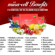 Stemcells online shop