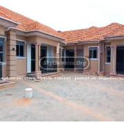 Standard painters Uganda limited